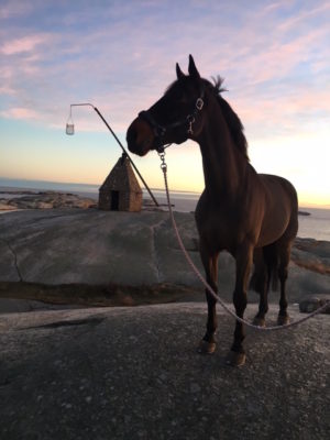 Ugo, Stall verdens Ende