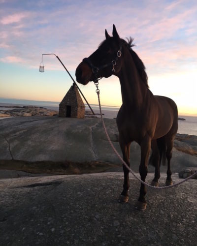 Ugo, Stall verdens Ende