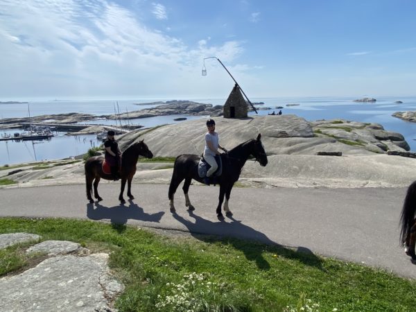 Comeback kurs 26. Juli 2025