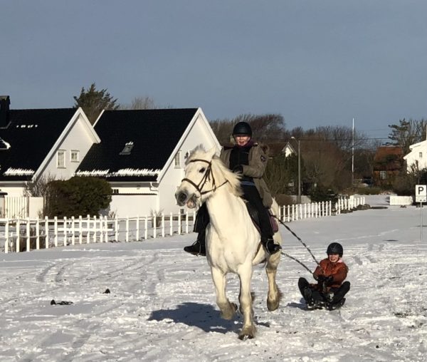 Vinterleir 2026!