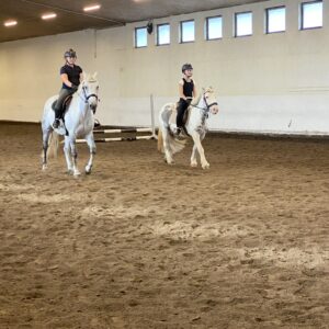 Nyhet! Ridedag 30. Desember 2025!