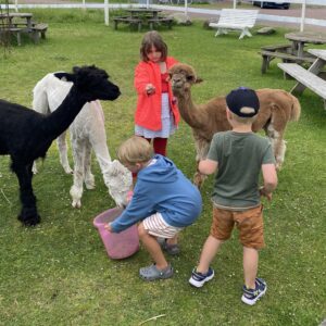 Nyhet! Møt dyrene på Verdens Ende 3. April 2026