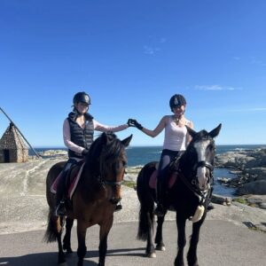 Rideleir vinterferien 2027 – uke 8 og 9 | Stall Verdens Ende 2027